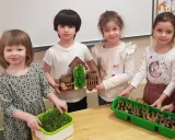 Весенний огород в детском саду