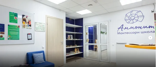 аммонит