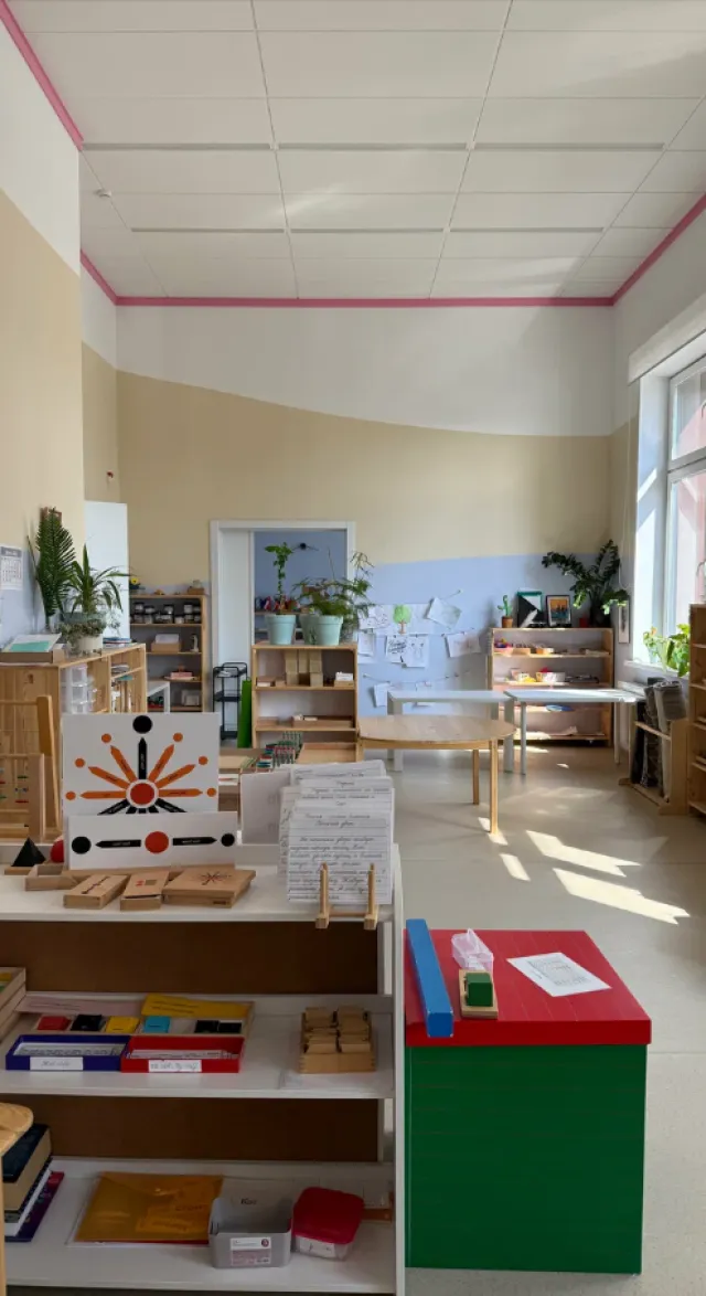 Индивид.УМ (0-12 лет) фото