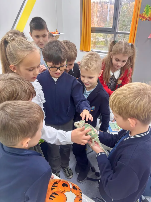 День Рептилий