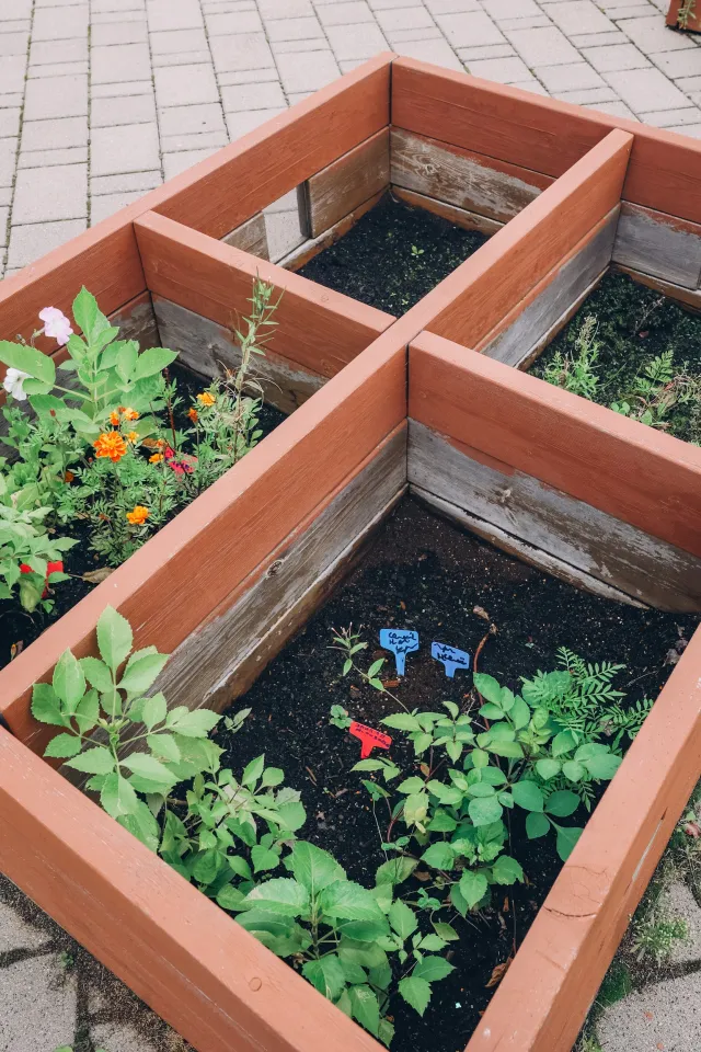 Уголок растениеводства