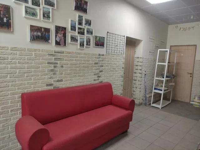 Сократ (Проспект Красной Армии 234) фото