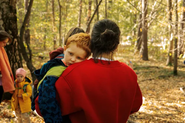 Лесной лабиринт