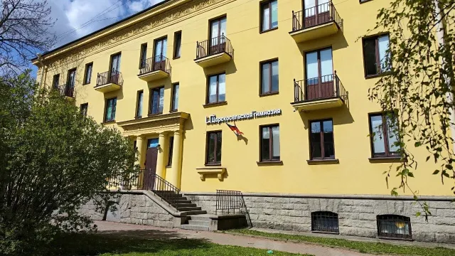 Царскосельская гимназия фото