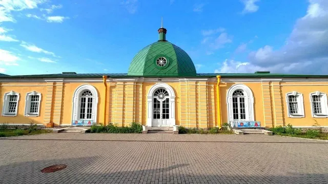 Наутилус фото