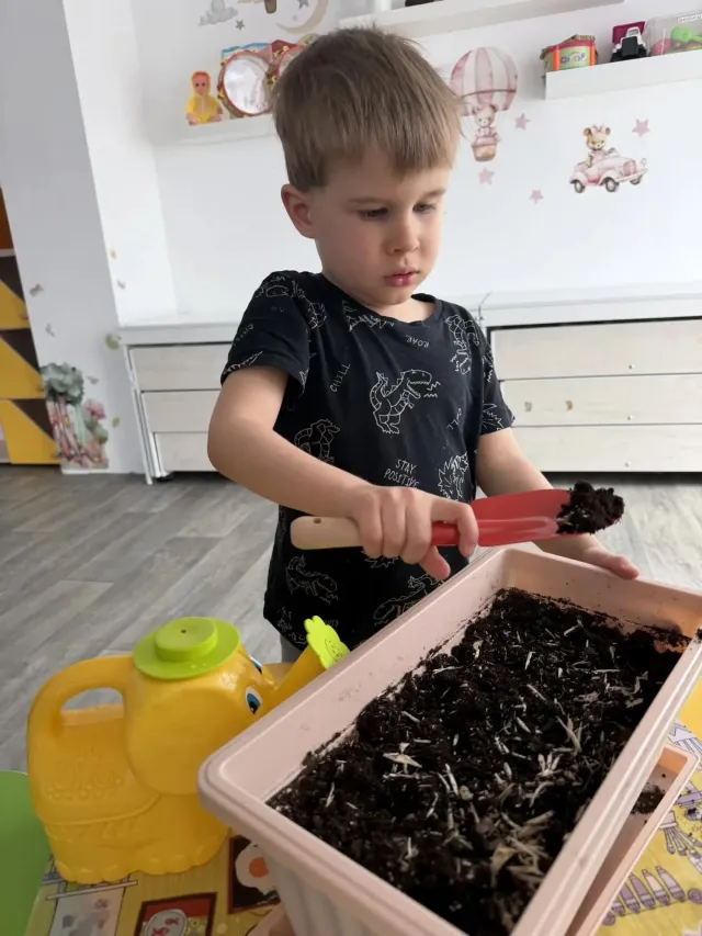 Обучение