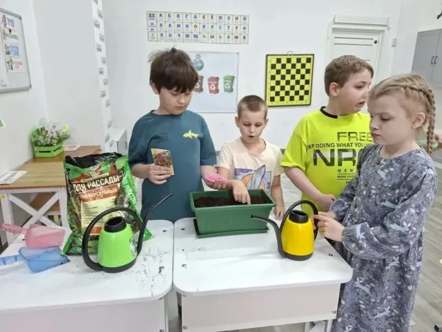 Обучение