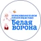 `Школа Белая Ворона` - образовательное пространство