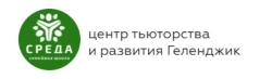 Центр тьюторства и развития `Среда` - логотип