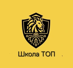 TOP IT SCHOOL Тамбов - логотип