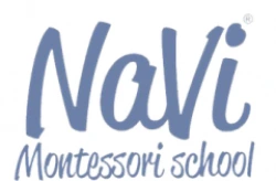 NaVi - логотип