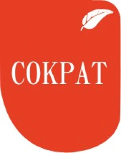 Сократ (Проспект Красной Армии 96) - логотип