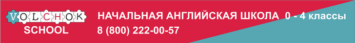 Волчок СПб на год сред деск. Центр., Невский р.