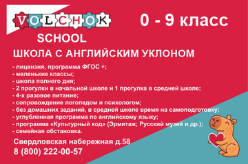 Волчок СПб на год нижний моб. Красногвард, Калининс. р.