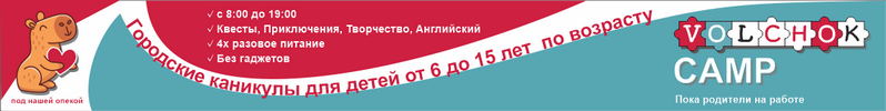 Волчок СПб на год нижний деск. Красногвард, Калининс. р.
